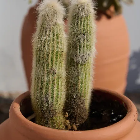 شقة La Familia Luxury Private Maisonettes Near The Sea *