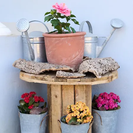 La Familia Luxury Private Maisonettes Near The Sea