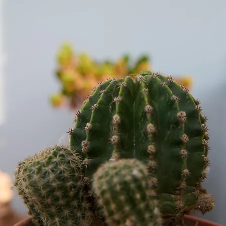 شقة La Familia Luxury Private Maisonettes Near The Sea