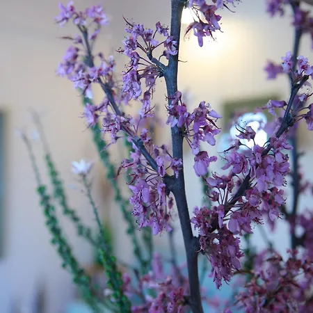 La Familia Luxury Private Maisonettes Near The Sea *