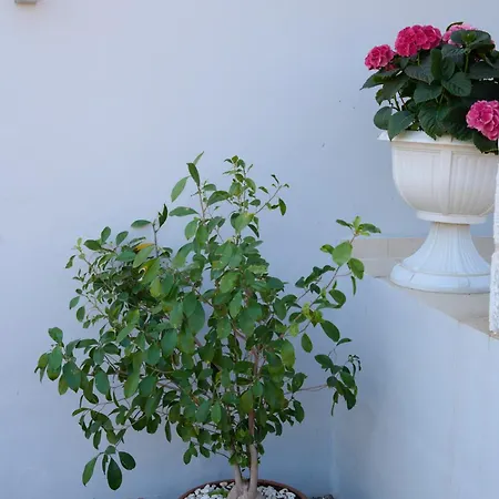 La Familia Luxury Private Maisonettes Near The Sea *