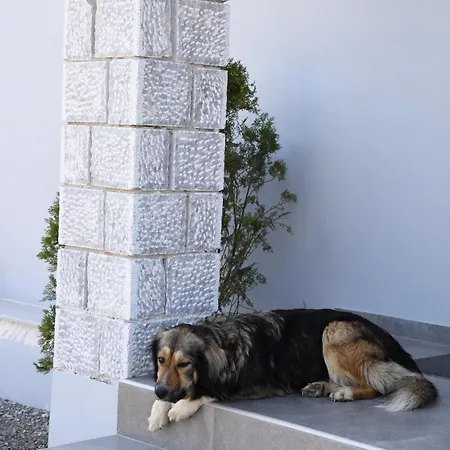 La Familia Luxury Private Maisonettes Near The Sea