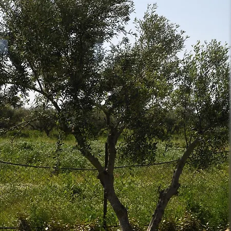 La Familia Luxury Private Maisonettes Near The Sea Apartment *