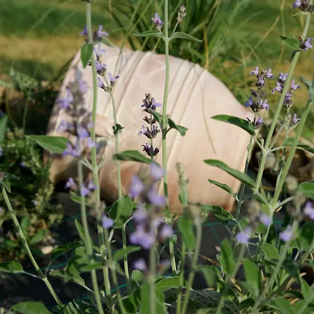 La Familia Luxury Private Maisonettes Near The Sea Apartment Gythio