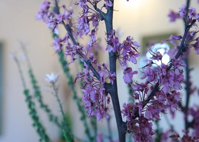 La Familia Luxury Private Maisonettes Near The Sea *