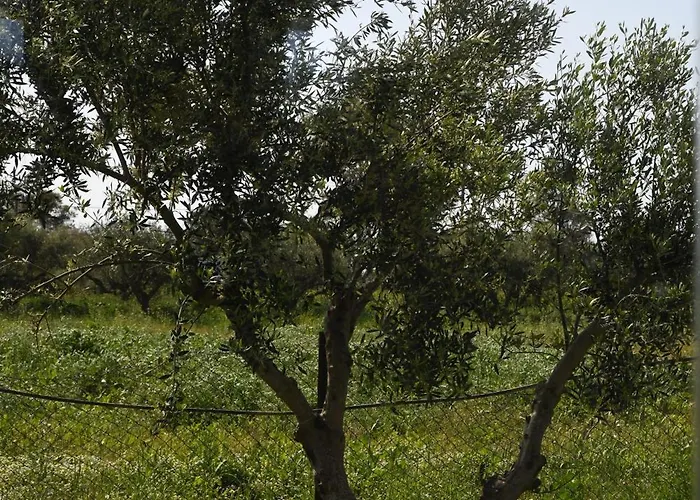 La Familia Luxury Private Maisonettes Near The Sea דירה *