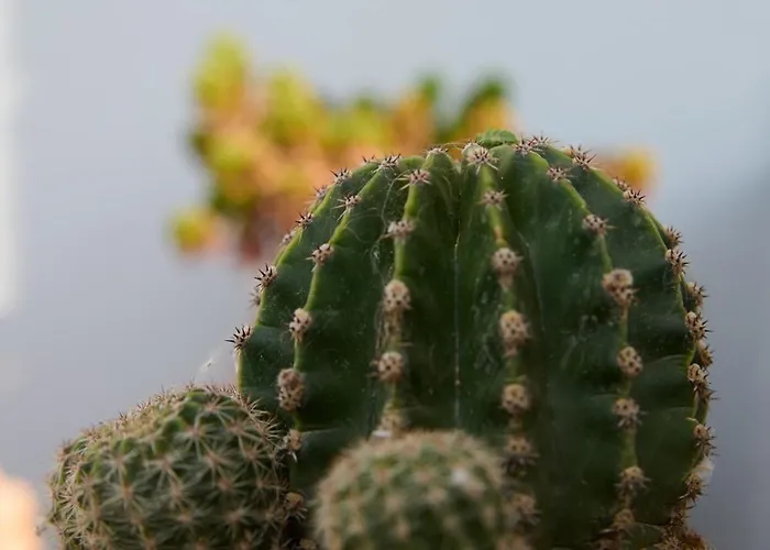 Apartment La Familia Luxury Private Maisonettes Near The Sea