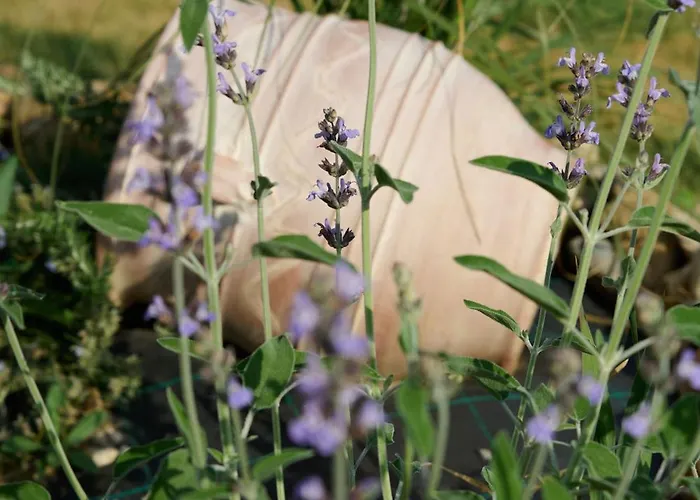 La Familia Luxury Private Maisonettes Near The Sea דירה גיתיו